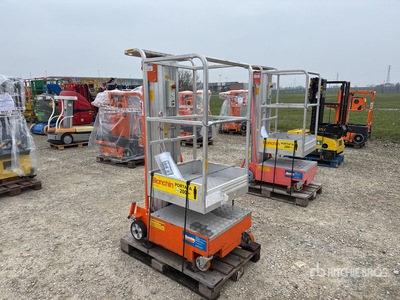 2019 Bianchin Minlift Verticale mastlift