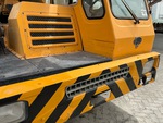 General Appearance with Paint