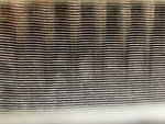 Engine with Radiator