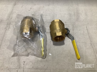 (17) FNW Valve 012287 Ball Valves