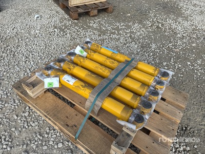 Quantity of (5) Cilinder