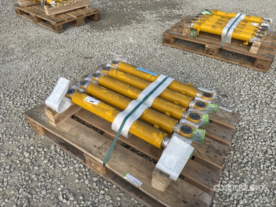 Quantity of (5) Cilinder