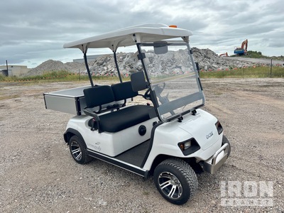 2025 ECAR LT-A2 Electric Golf Cart