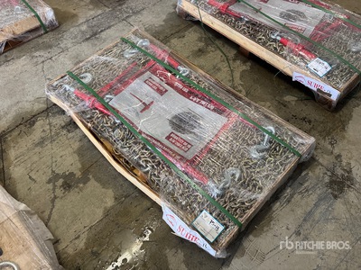 Quantity of (5) 2026 Suihe BC-9200 9200 lb Ratchet Binders & (10) 20 ft Chains (Unused)