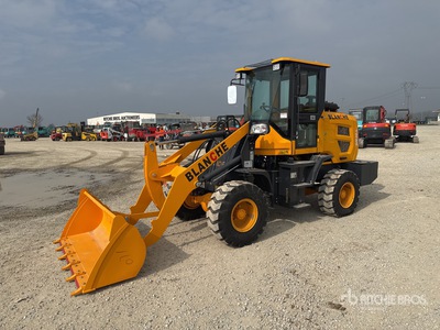 2025 BLANCHE TW36 Pala gommata