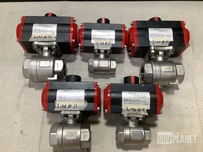 (3) W.E. Anderson WE01-GDA02 & (2) WE01-GDA03 Globe Valves