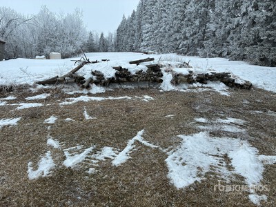 Quantity of 7 ft Posts Varios, tienda, almacen, consumidor