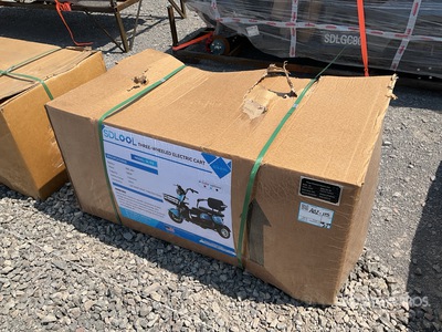 2026 SDLOOL SL-D3 Electric tricycle (Unused)