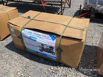 2026 SDLOOL SL-D3 Electric tricycle (Unused)