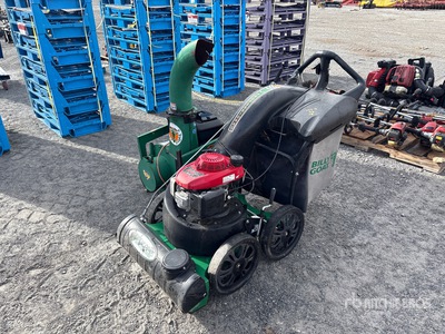 Quantity of (2) Leaf Vacuum