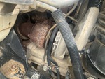 Engine with Exhaust System