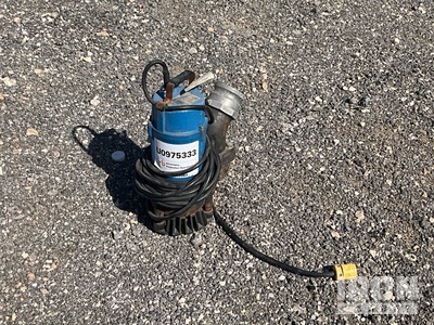 ESP-1HP-110V-1P-3ES101 Pompe à eau submersible électrique