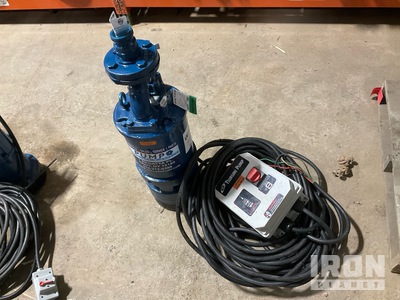 Tsurumi LH25 5W-60 Water Pump