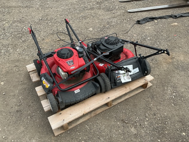 (2) Assorted Lawn Mowers