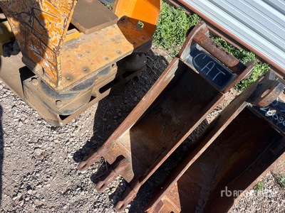 Cat 12 in Digging Excavator Bucket