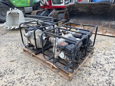 Quantity of (4) Pumps