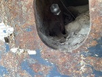 Undercarriage with Right Track Tensioner