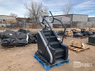 Techno Gym Stair Stepper