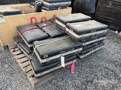 Quantity of Quantity of Spy 780 Holiday Detector