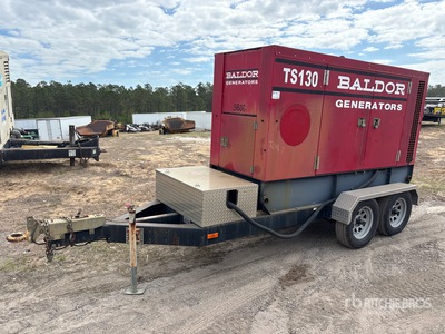 2006 Baldor TS130 Tragbarer Generator