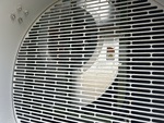 Heater with Blower/Fan