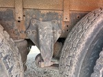 Underbody with 