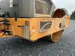 General Appearance with Paint