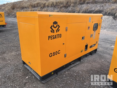 2025 Pesatto G80C 100 kVA Skid-Mounted Generator Set (Unused)
