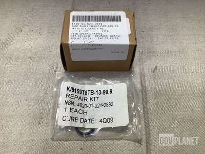 (2) Dela Technology K/5159T-8TB-20 Safety Relief Valve Parts Kits