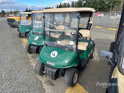 2014 E-Z-Go Electric Golf Cart