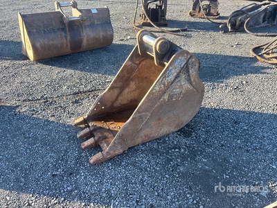 Cat 22 in Digging Excavator Bucket