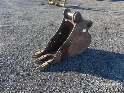 Cat 20 in Digging Excavator Bucket