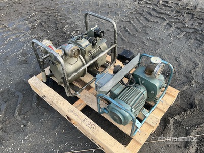 Quantity of (2) Mast Water Pump