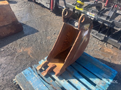 Cat 11 in Excavator Bucket