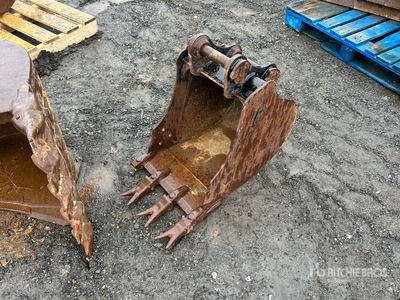 Cat 16 in Digging Excavator Bucket