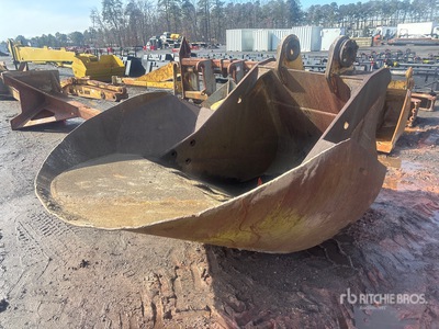Cat 42 in Excavator Bucket