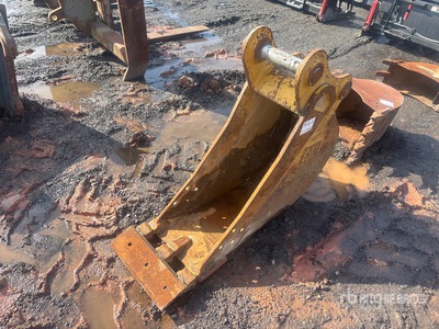 Cat 18 in Digging Excavator Bucket