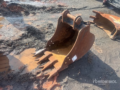 Cat 18 in Digging Excavator Bucket