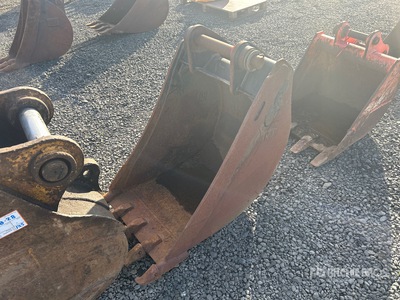 Cat 21 in Digging Excavator Bucket