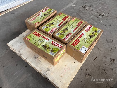 Quantity of (50) 2 in x 20 ft Ratchet Strap Varios, tienda, almacen, consumidor (Unused)