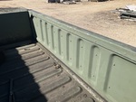 General Appearance with Paint