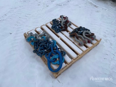 Quantity of (3) Quantity of Chains