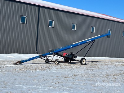 2000 Brandt 842 8 in x 42 ft Getreideschnecke