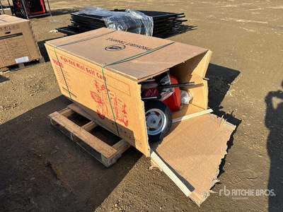 2026 IRGC40-RED 3 TT E-Trike Mini دراجة ثلاثية العجلات (Unused)