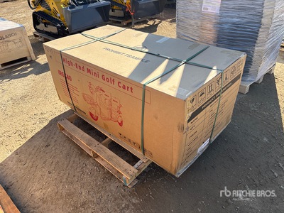 2026 3 TT E-Trike Mini Motocicletta a tre ruote (Unused)