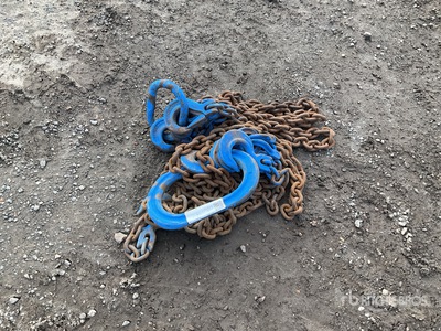 Quantity of (2) Chains