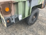 General Appearance with Paint