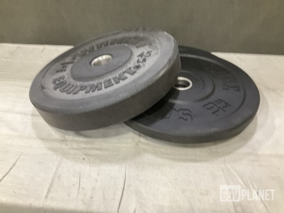 (17) Assorted Bumper Plates