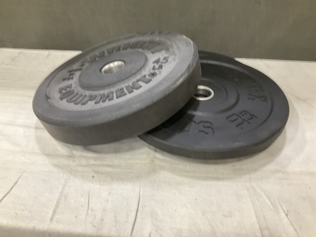 (17) Assorted Bumper Plates (17) Assorted Bumper Plates