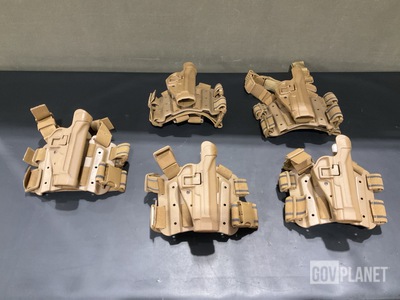 (17) Individual Holsters